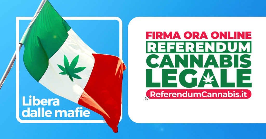 Referendum Cannabis
