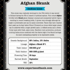 Expert Seeds Afghan Skunk Feminized (Afghan x Skunk N.1)