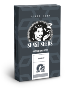 Sensi Seeds Afghani #1 Automatic