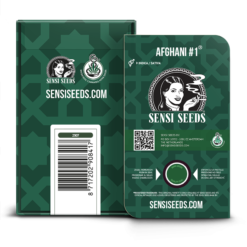 Afghani #1 Regolari - Sensi Seeds