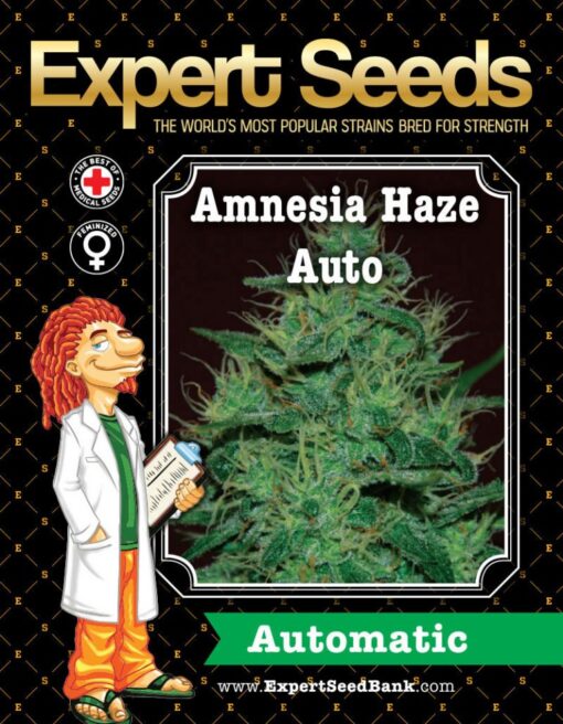 Expert Seeds Amnesia Haze Auto Feminized (Amnesia Haze x Ruderalis)