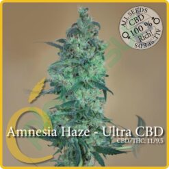 Amnesia Haze Ultra CBD - Elite Seeds