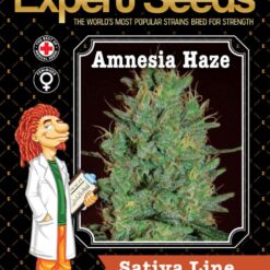 Expert Seeds Amnesia Haze Feminized (Amnesia x Haze x Super Skunk)