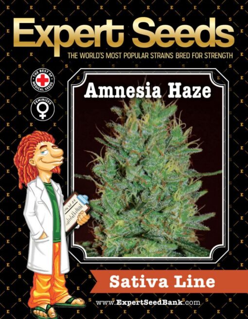 Expert Seeds Amnesia Haze Feminized (Amnesia x Haze x Super Skunk)