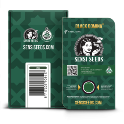 Black Domina Regolari - Sensi Seeds