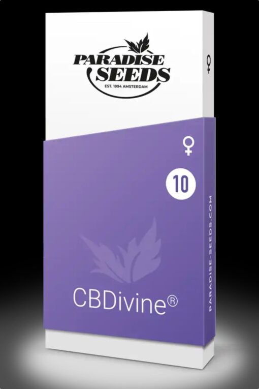 CBDivine - Paradise Seeds