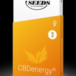 CBDenergy - Paradise Seeds