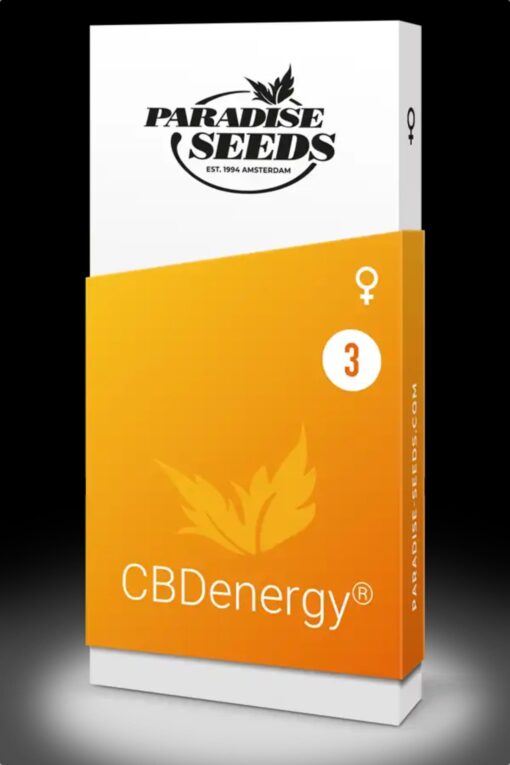 CBDenergy - Paradise Seeds