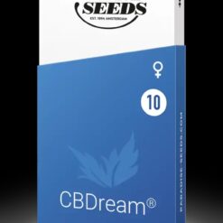 CBDream - Paradise Seeds