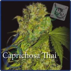 Caprichosa Thai - Elite Seeds