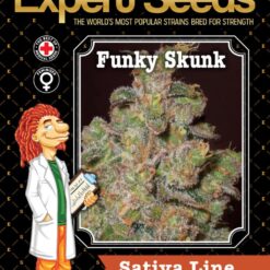 Expert Seeds Cheese a.k.a Funky Skunk Feminized (Brasil x India)