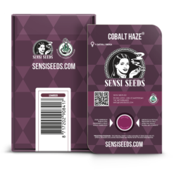 Cobalt Haze Semi Feminizzati