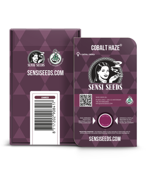 Cobalt Haze Semi Feminizzati