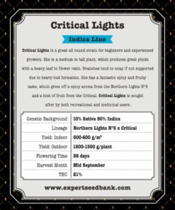 Expert Seeds Critical Lights Feminized (Critical x Northern Lights N.5)