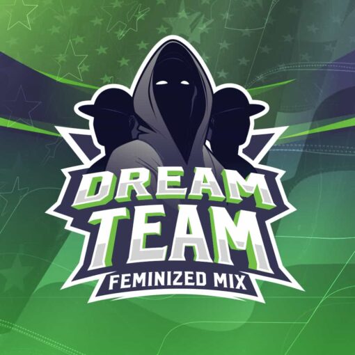 BSF Seeds Dream Team Feminized Mix