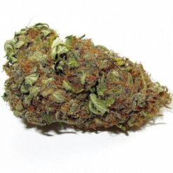 Delicious Seeds DELICIOUS CANDY ® Feminized - Semi Femminizzati