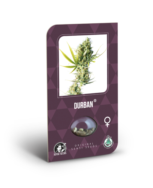 Durban Femminizzati - Sensi Seeds