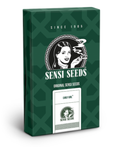Early Girl Regolari - Sensi Seeds