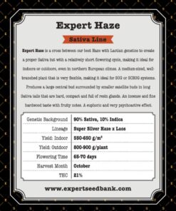Expert Seeds Expert Haze Feminized (Laos x Super Silver Haze)