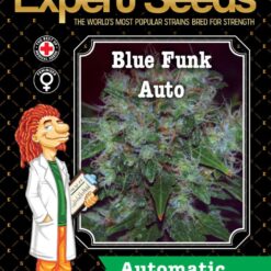 Expert Seeds Blue Cheese Auto Feminized (Blueberry Auto x Cheese Auto)