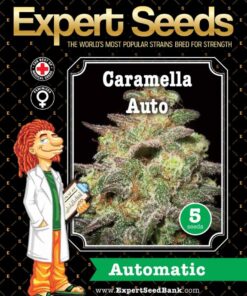 Expert Seeds Caramella Auto Feminized (Cream Caramel Auto x Deimos)
