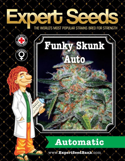 Expert Seeds Cheese Auto Feminized (Cheese x Low Ryder)