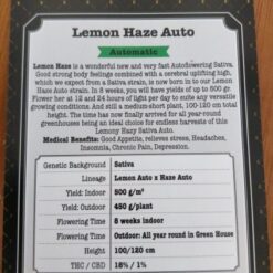 Expert Seeds Lemon Haze Auto Feminized (Lemon Auto x Haze Auto)
