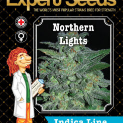 Expert Seeds Northern Lights Feminized (Afghan x Haze x Skunk N.1)