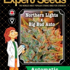Expert Seeds Northern Lights x Big Bud Auto Feminized (Big Bud x Canadian Ruderalis x Northern Lights)