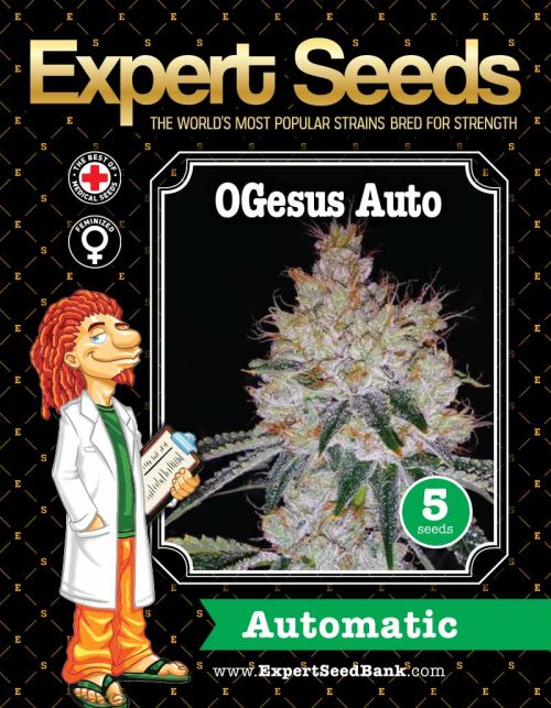 Expert Seeds OGesus Auto Feminized (OG Kush x White Dwarf Auto)