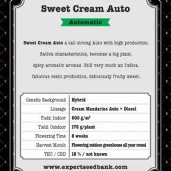 Expert Seeds Sweet Cream Auto Feminized (Cream Mandarine Auto x Diesel)
