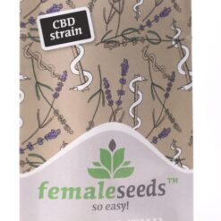 Female Seeds CBD Terra Italia Feminized (Compolti x Lemon Kush)