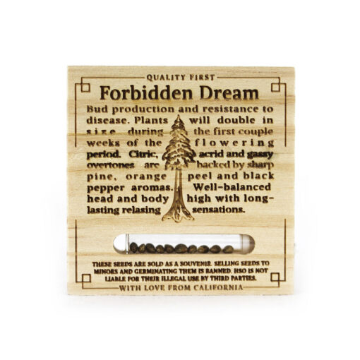Forbidden Dream Femminizzata - HSO