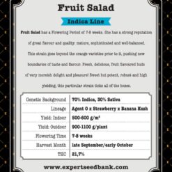 Expert Seeds Fruit Salad Feminized (Agent Orange x Banana Kush x Strawberry)