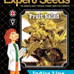 Expert Seeds Fruit Salad Feminized (Agent Orange x Banana Kush x Strawberry)