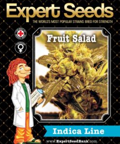 Expert Seeds Fruit Salad Feminized (Agent Orange x Banana Kush x Strawberry)