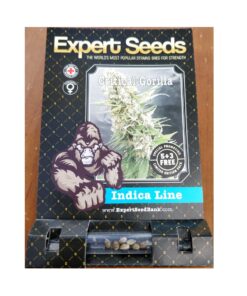 Expert Seeds Critical Gorilla Feminized (Gorilla Glue #4 x Critical)