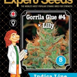 Expert Seeds Gorilla × Lilly Feminized (GG#4 x Queen Mother)