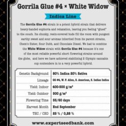 Expert Seeds Gorilla × White Widow Feminized (GG#4 x South American x South Indian Indica x White Fire Alien)