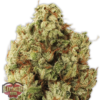 Green Ninja Femminizzata - Heavyweight Seeds