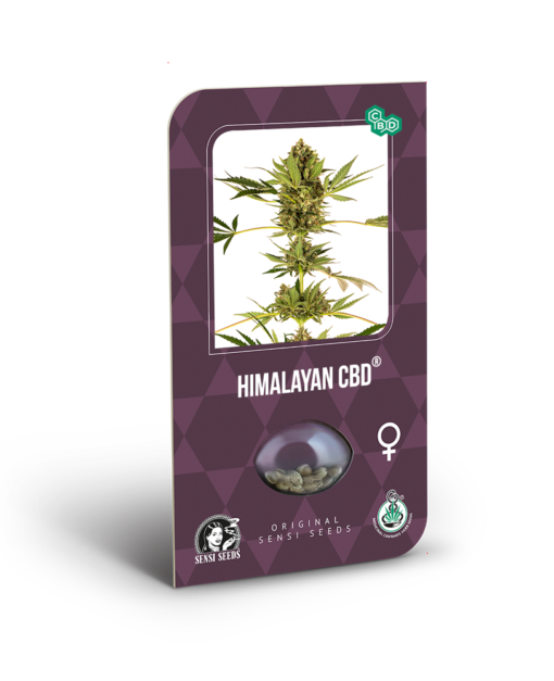 Himalayan CBD Semi Feminizzati