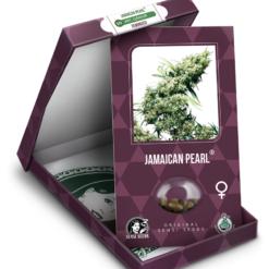 Jamaican Pearl Femminizzati - Sensi Seeds