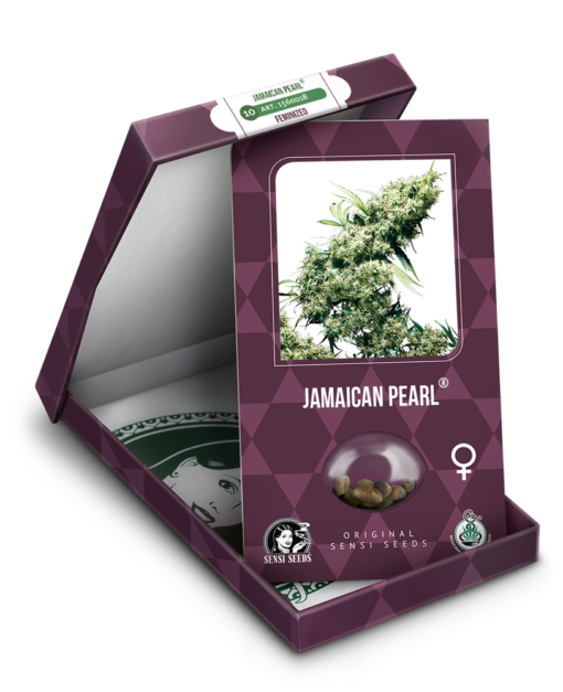 Jamaican Pearl Femminizzati - Sensi Seeds