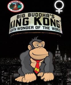 Big Buddha Seeds KING KONG 5 Feminized - Semi Femminizzati