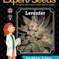 Expert Seeds Lavender Feminized (Afghani Hawaiian Haze x Korean Big Skunk x Super Skunk)