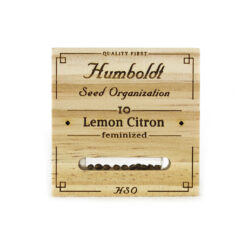 Lemon Citron Femminizzata - HSO
