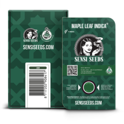 Maple Leaf Indica Regolari - Sensi Seeds