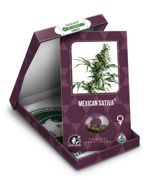 Mexican Sativa Femminizzati - Sensi Seeds