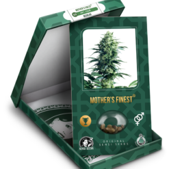 Mother's Finest Regolari - Sensi Seeds