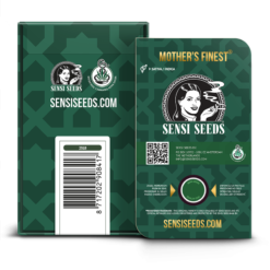 Mother's Finest Regolari - Sensi Seeds